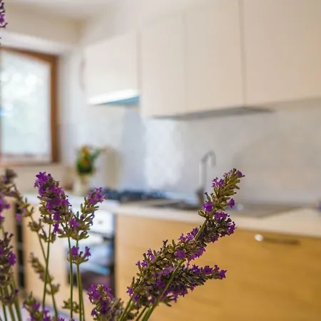 Appartement Casescauri