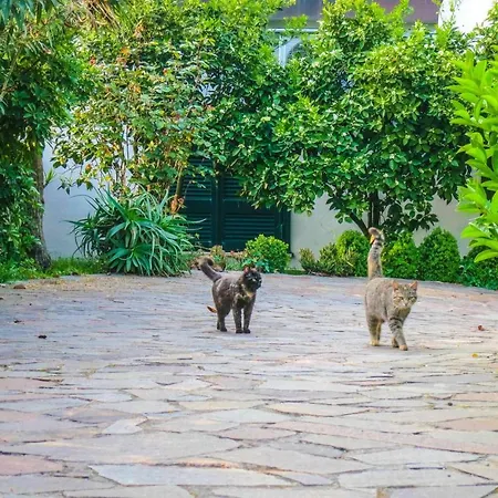 Appartement Casescauri