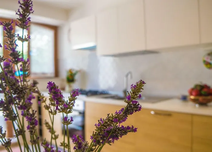 Apartmán Casescauri