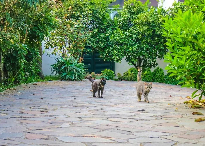 Διαμέρισμα Casescauri